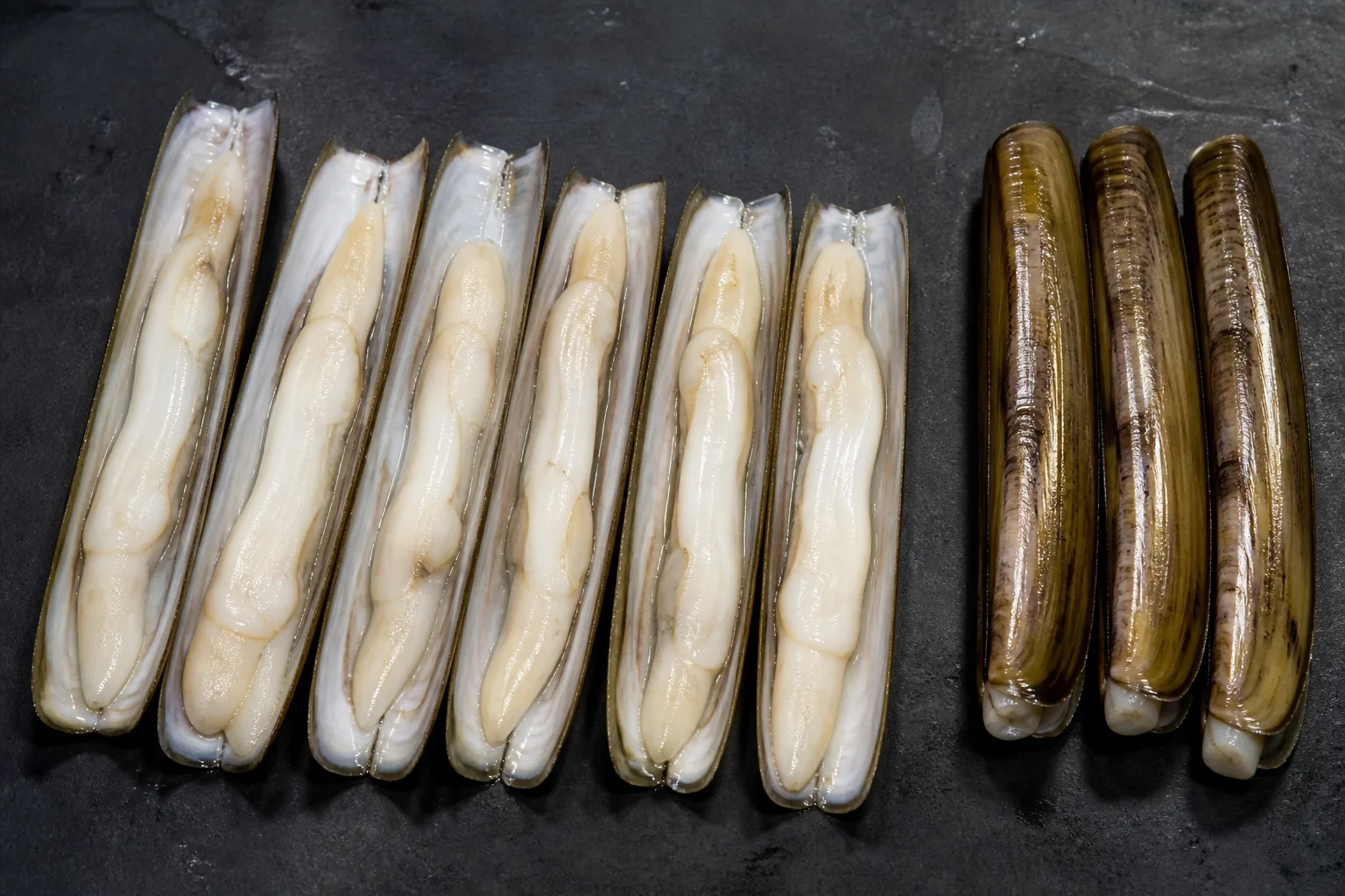 Présentation professionnelle détaillée du Couteau de mer