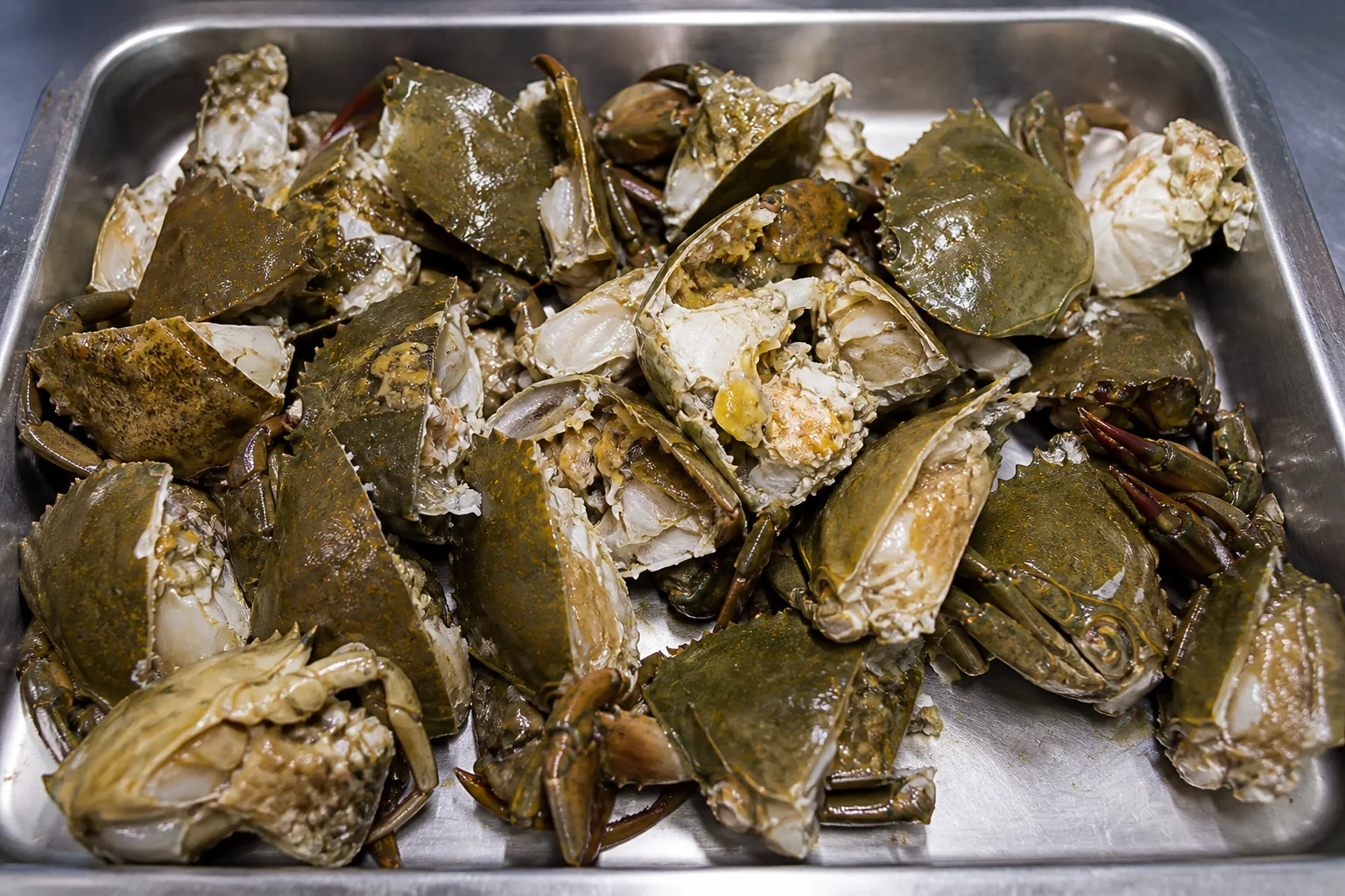Présentation professionnelle détaillée du Crabe vert / Favouille