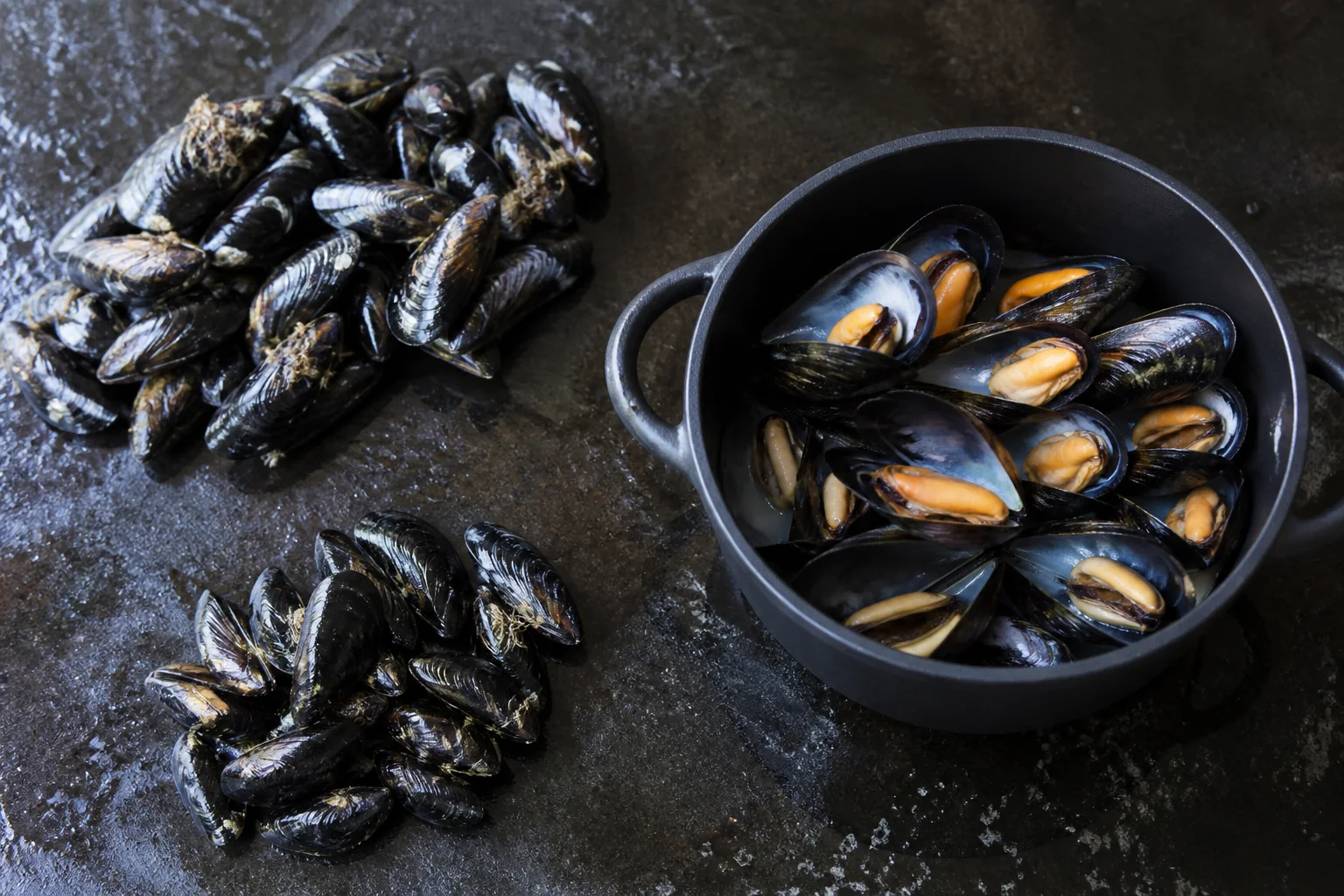 Présentation professionnelle détaillée du Moules de bouchot