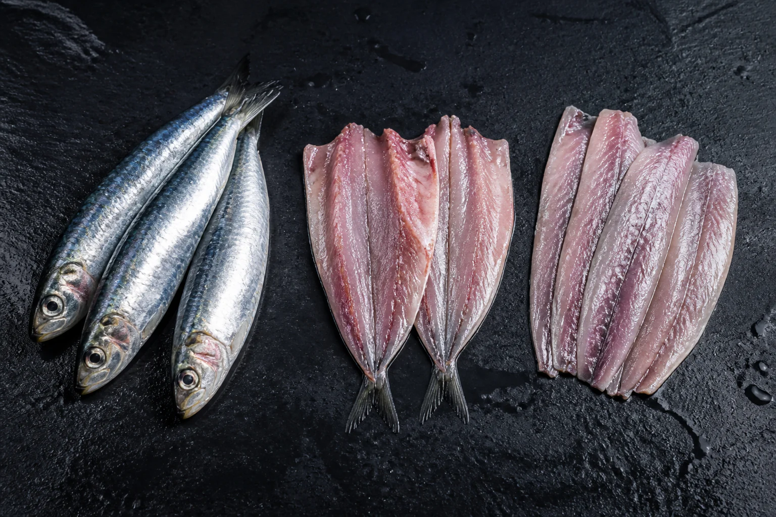 Présentation professionnelle détaillée du Sardine