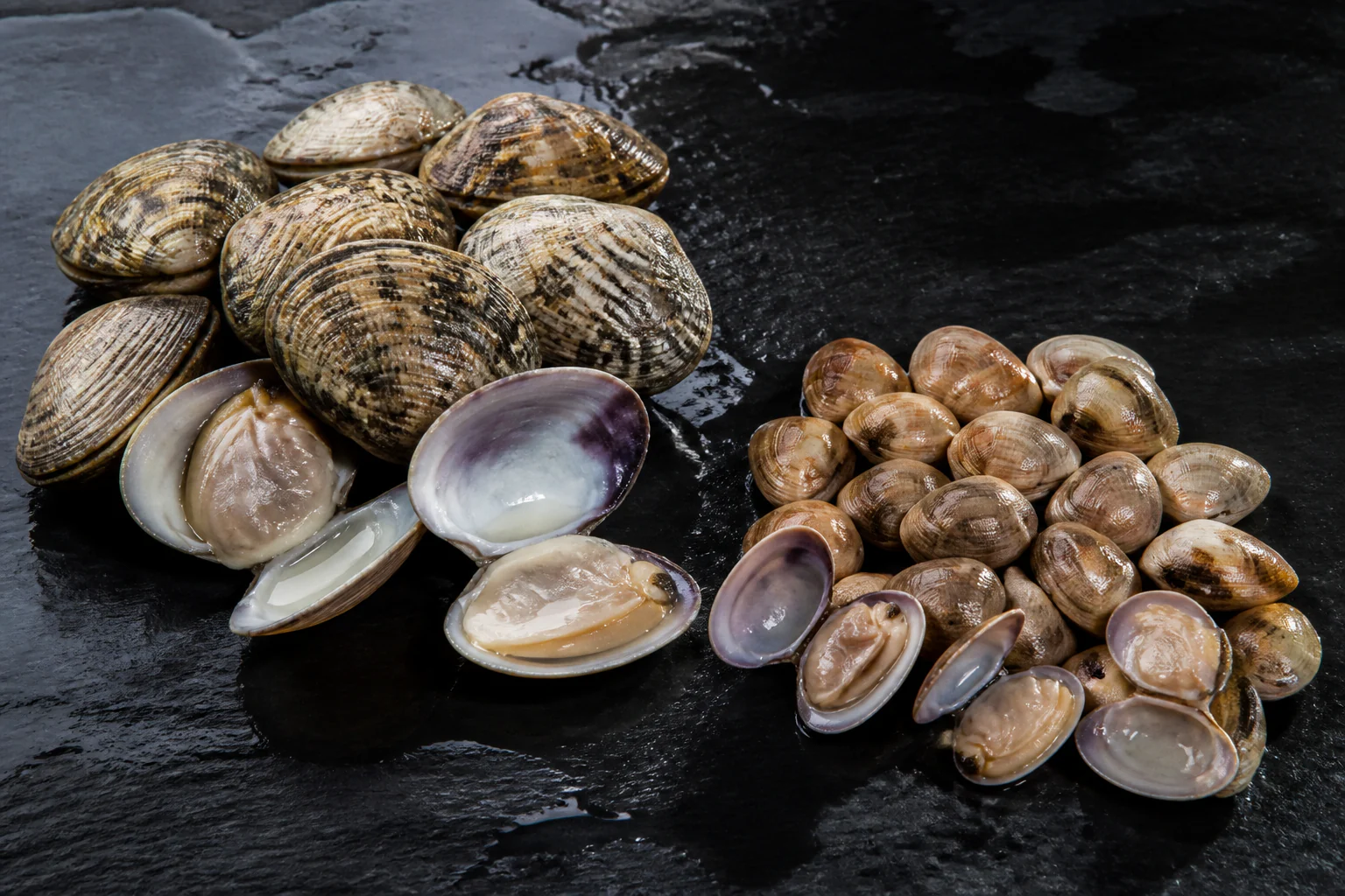 Présentation professionnelle détaillée du Vongole