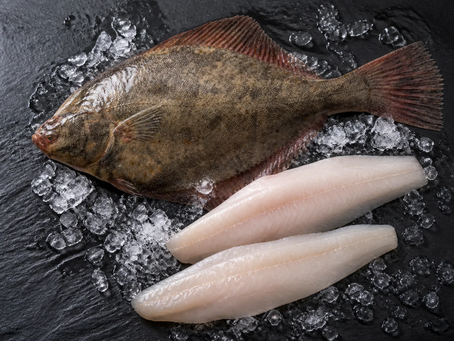 Flet entier et filets crus sur glace et ardoise