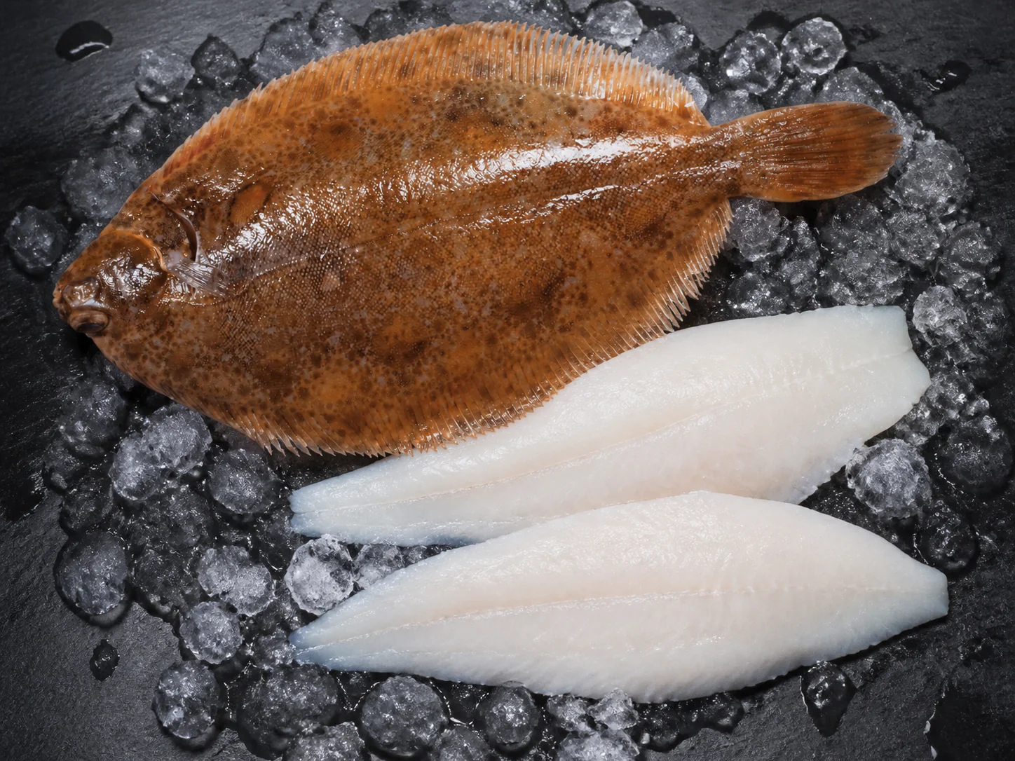 Limande entière et filets crus sur glace et ardoise