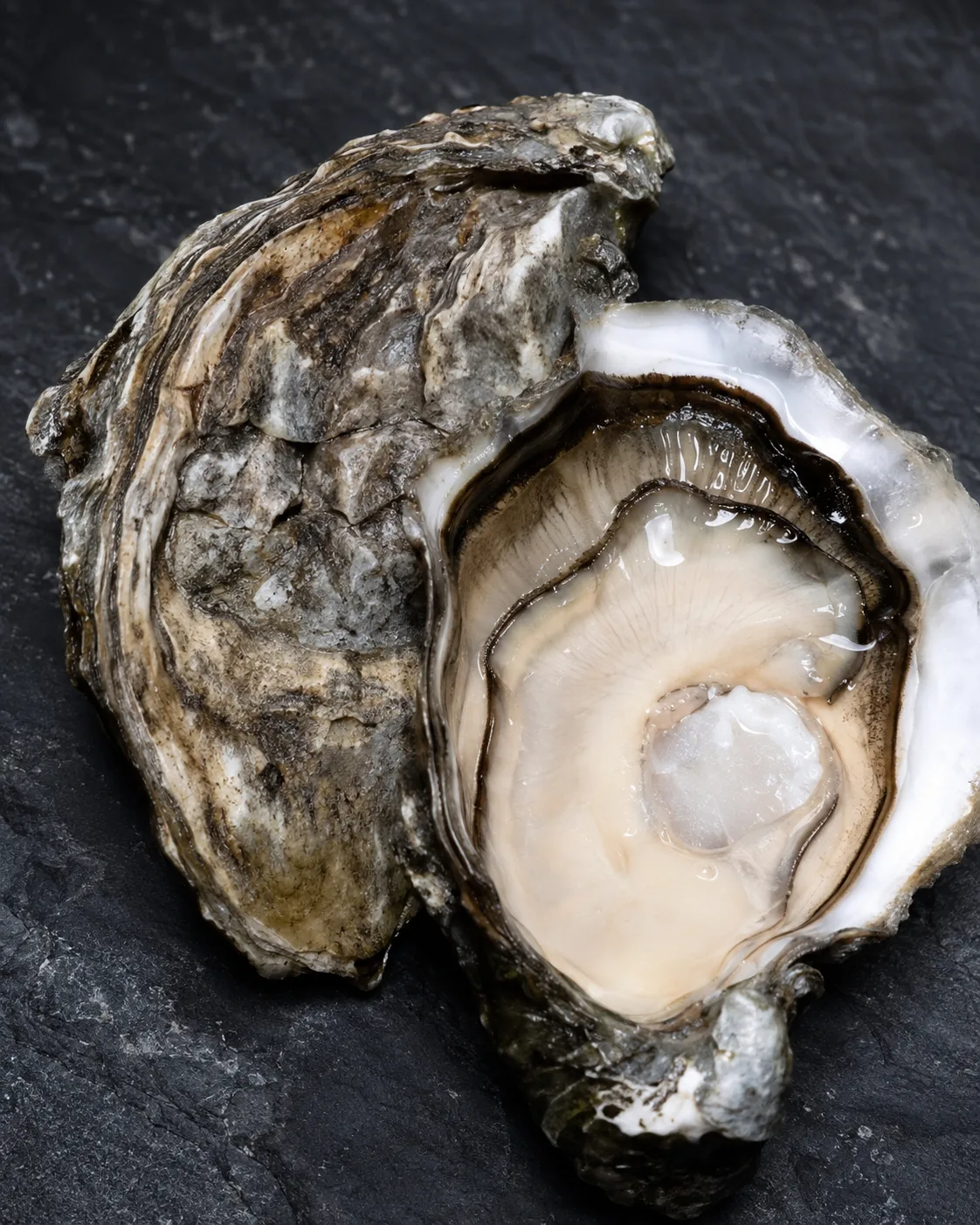 Huître Ostra Régal ouverte, sélection Maison Fumesse