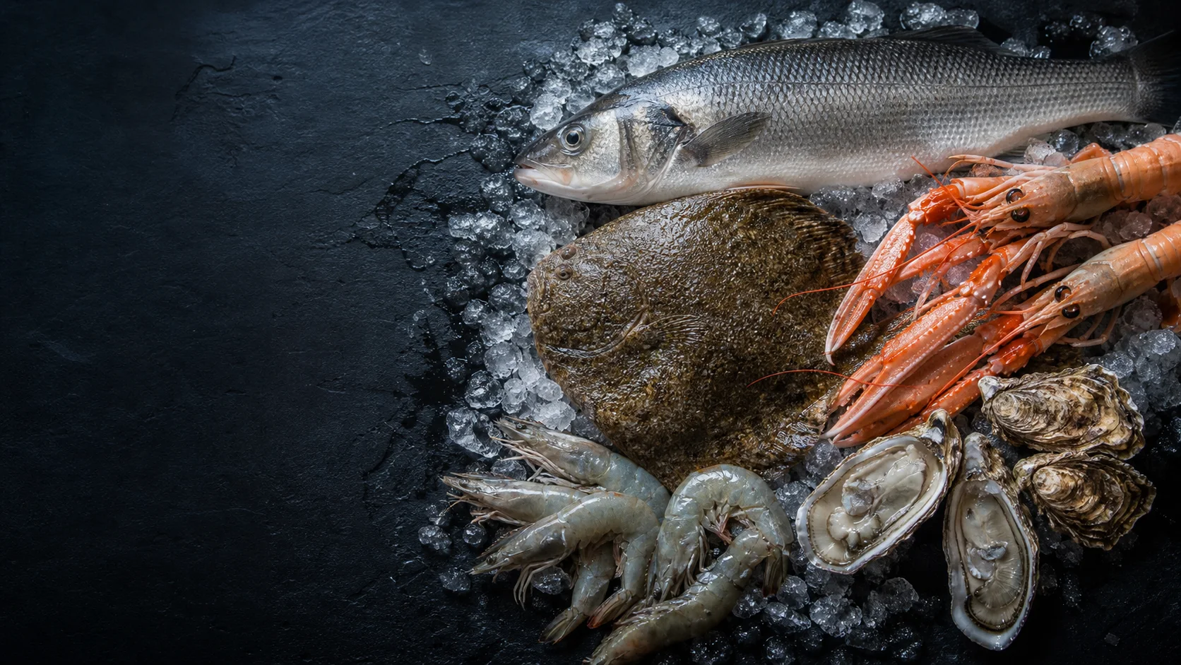 Sélection gastronomique de poissons, crustacés et coquillages frais sur glace