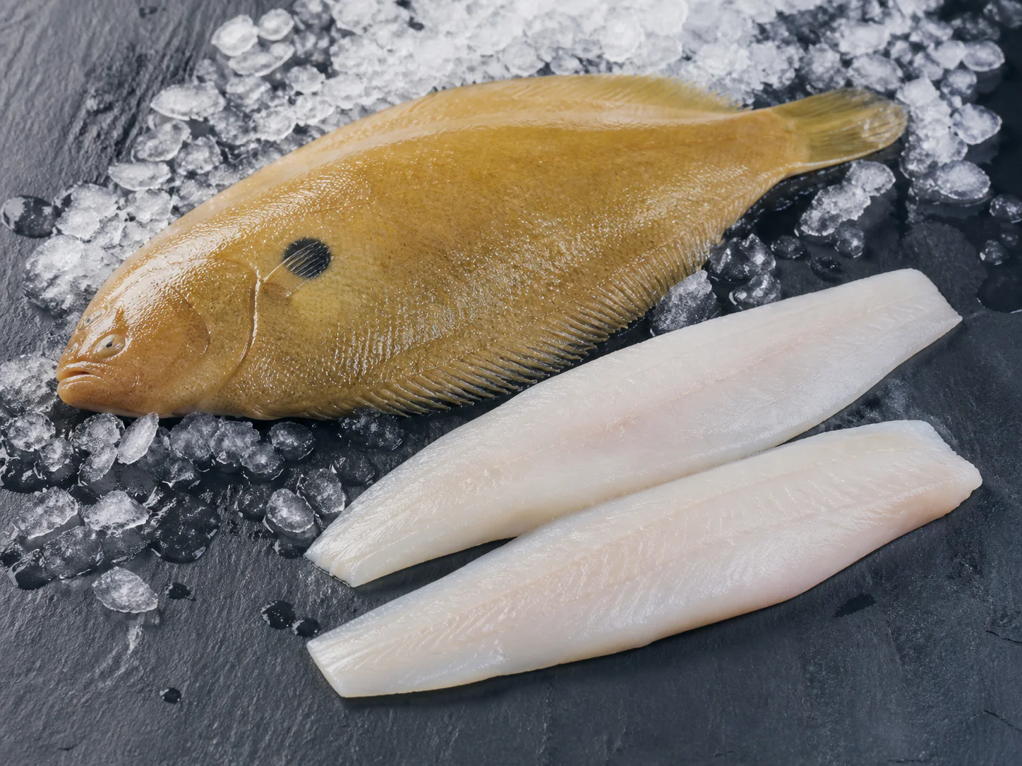 Sole blonde entière et filets crus sur plan de travail de poissonnerie