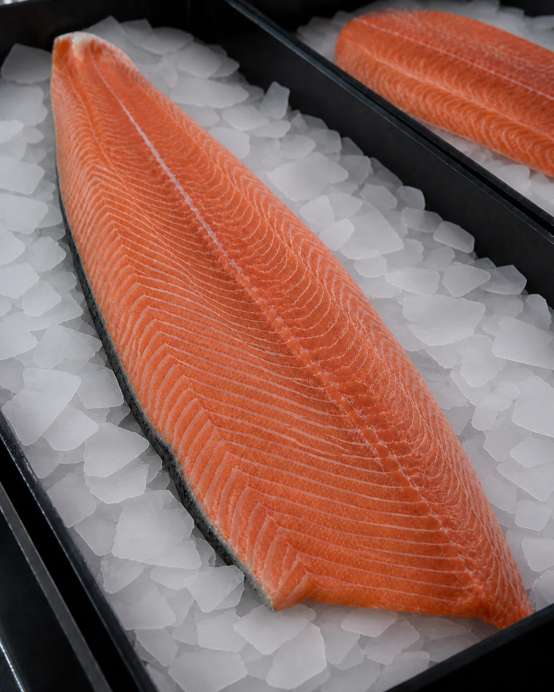 Poisson frais sélectionné avant sa préparation
